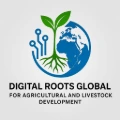 digitalrootsglobal